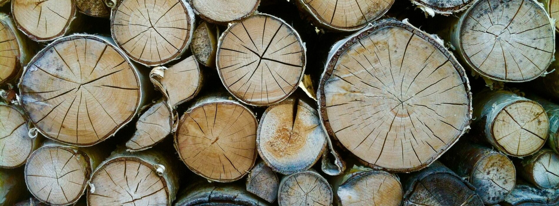 Czym jest kaloryczność drewna i jakie drewno na opał wybrać?